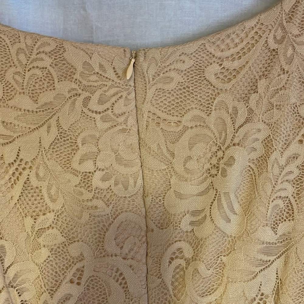 Berry Love Lace Dress - Picture 7 of 8